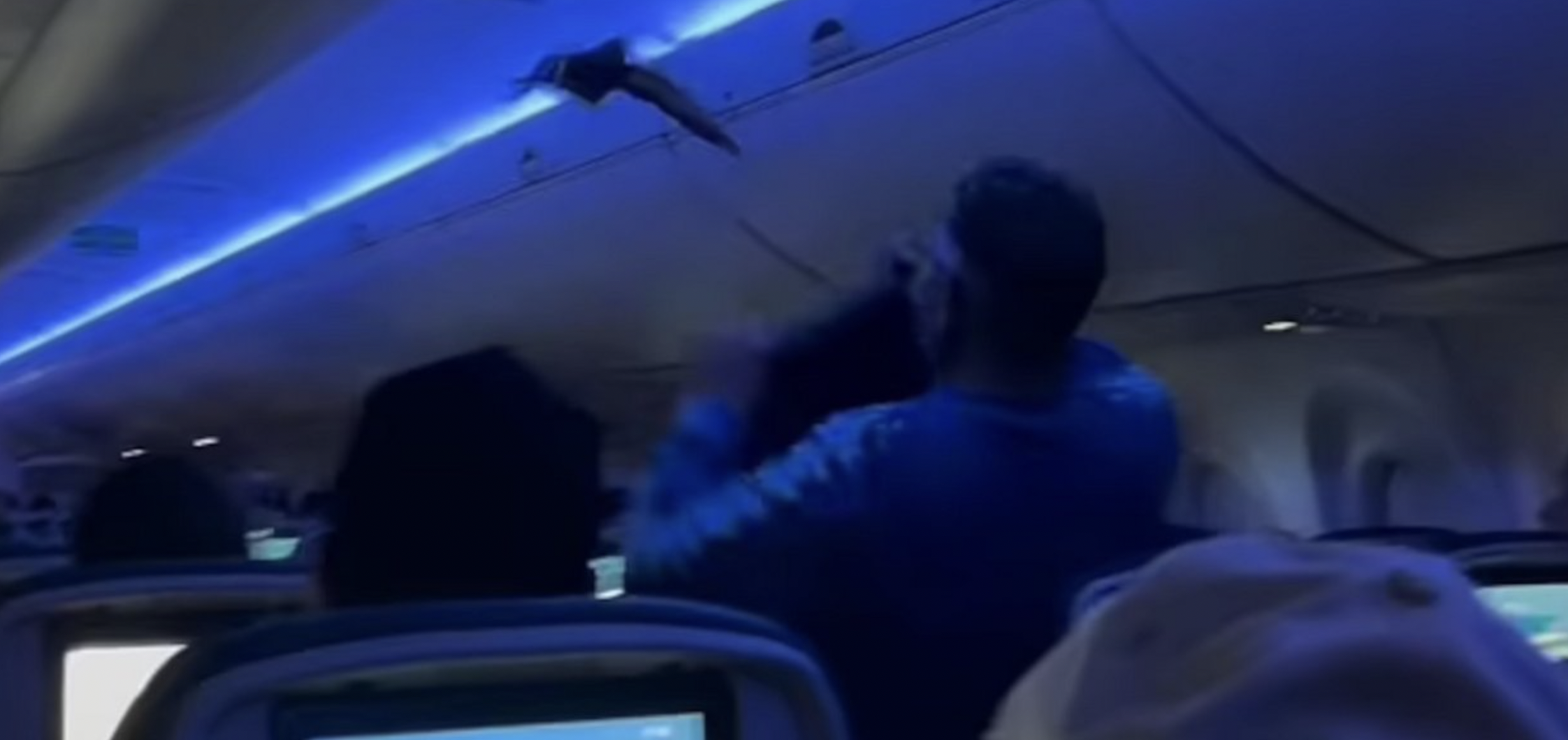 Αναστάτωση σε πτήση της Delta: Περιστέρια «εισέβαλαν» στην καμπίνα επιβατών