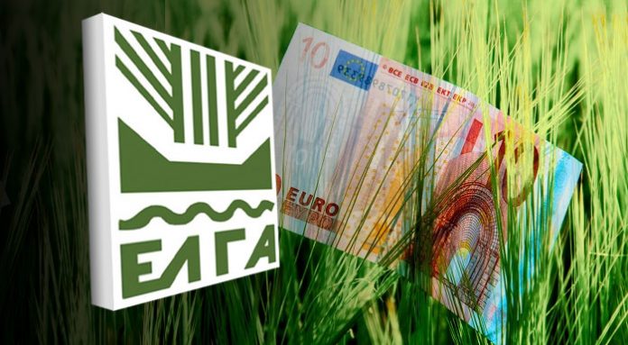 ΕΛΓΑ: Καταβολή 6,2 εκατ. € σε παραγωγούς – Αποζημιώσεις για ζημίες στο 2024 και ενισχύσεις για “Daniel” και “Elias”