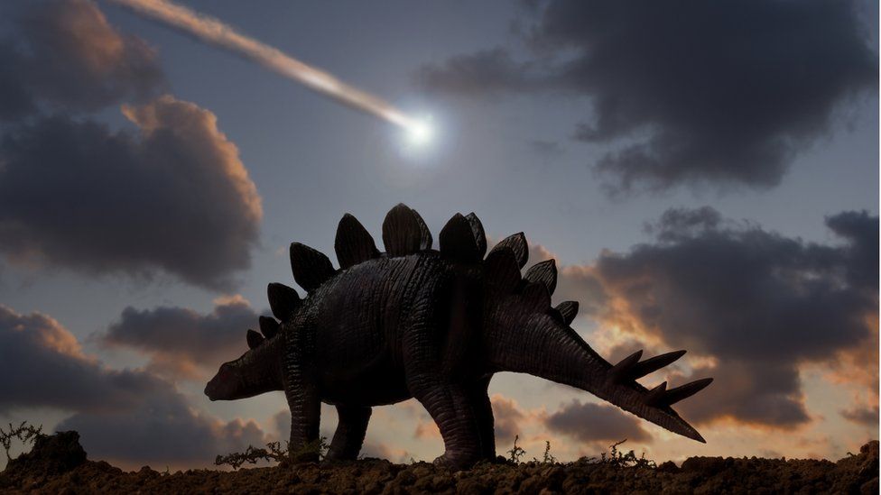 Οι δεινόσαυροι άκμαζαν πριν πέσει στα… κεφάλια τους ο γιγάντιος αστεροειδής που τους εξαφάνισε