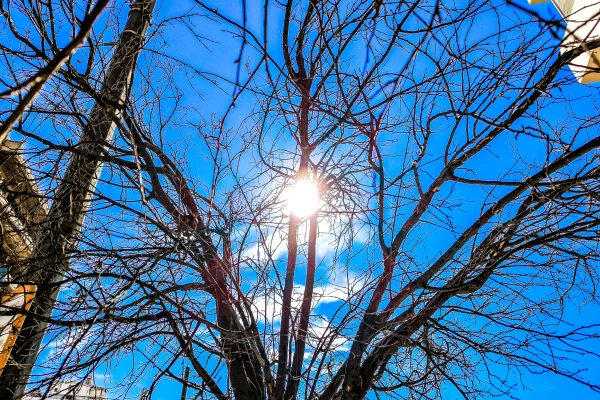Τρεις ώρες δωρεάν ηλιακής ενέργειας κάθε ημέρα θα προσφέρει στα νοικοκυριά η Αυστραλία