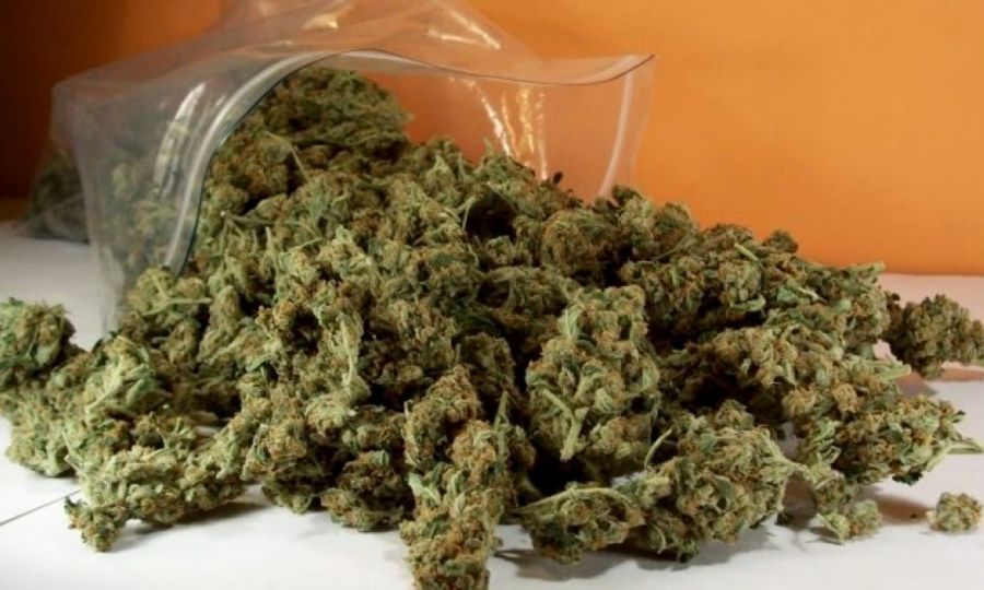 Όλο και περισσότεροι εθίζονται στην κάνναβη!