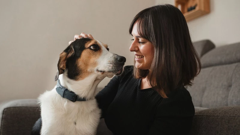 Οι πρώτες μέρες με τον νέο σας σκύλο στο σπίτι