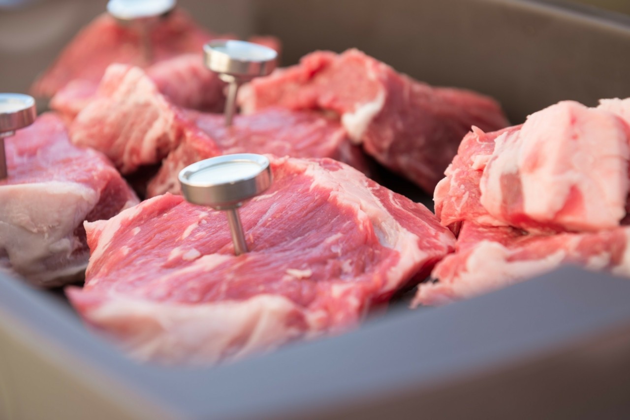 Μεξικό: Αναστέλλει τις εισαγωγές ισπανικού χοιρινού λόγω έξαρσης πανώλης Μεξικό: Αναστέλλει τις εισαγωγές ισπανικού χοιρινού λόγω έξαρσης πανώλης