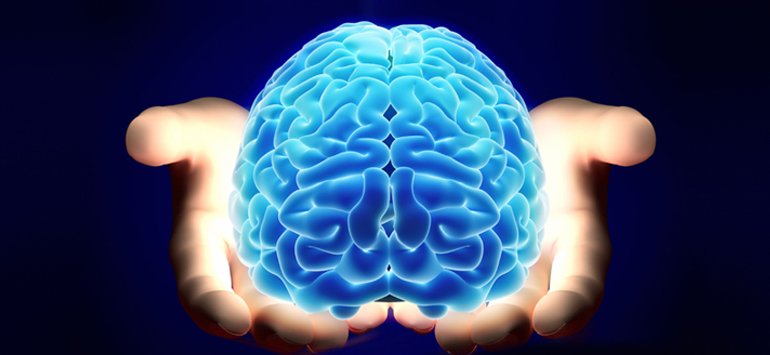 Εντοπίστηκαν οι «πέντε εποχές» του ανθρώπινου εγκεφάλου