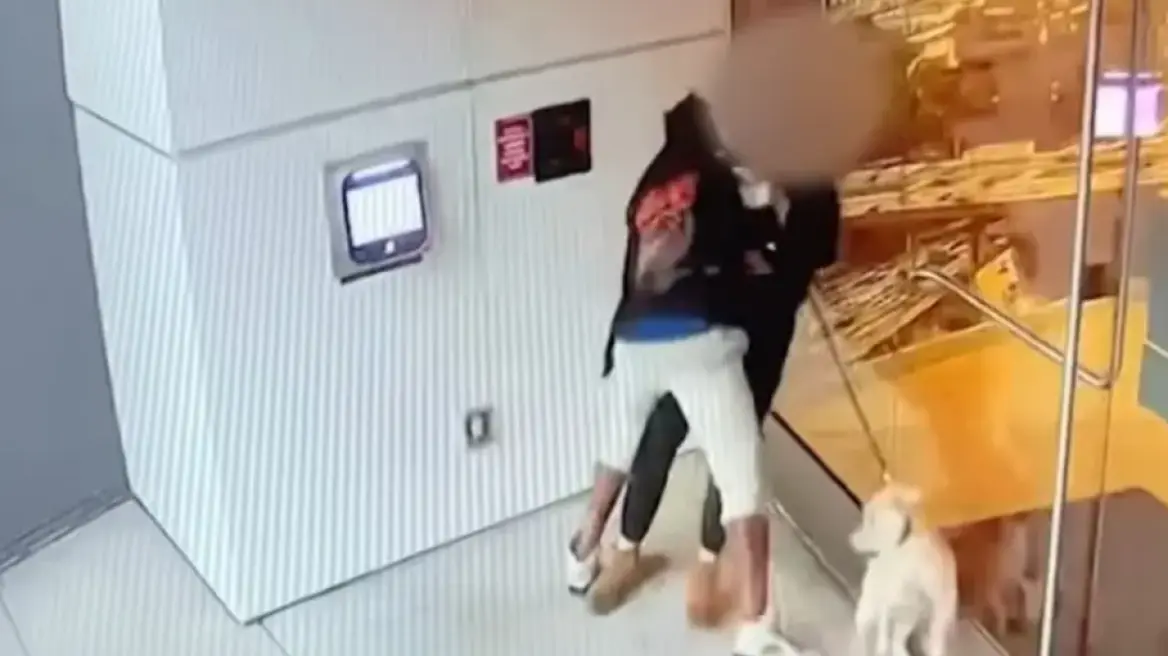 Σοκαριστικό βίντεο: Κάμερα κατέγραψε τη σεξουαλική επίθεση που δέχθηκε ενώ έβγαζε βόλτα τον σκύλο