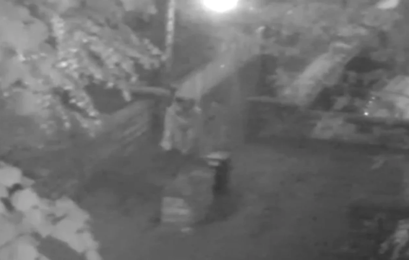 Αφγανοί έφηβοι καταδικάστηκαν για τον βιασμό ανήλικης