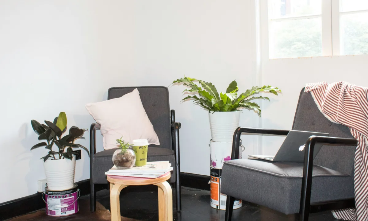 Φενγκ Σούι: Το πιο τυχερό φυτό που διώχνει την κακοτυχία από το σπίτι