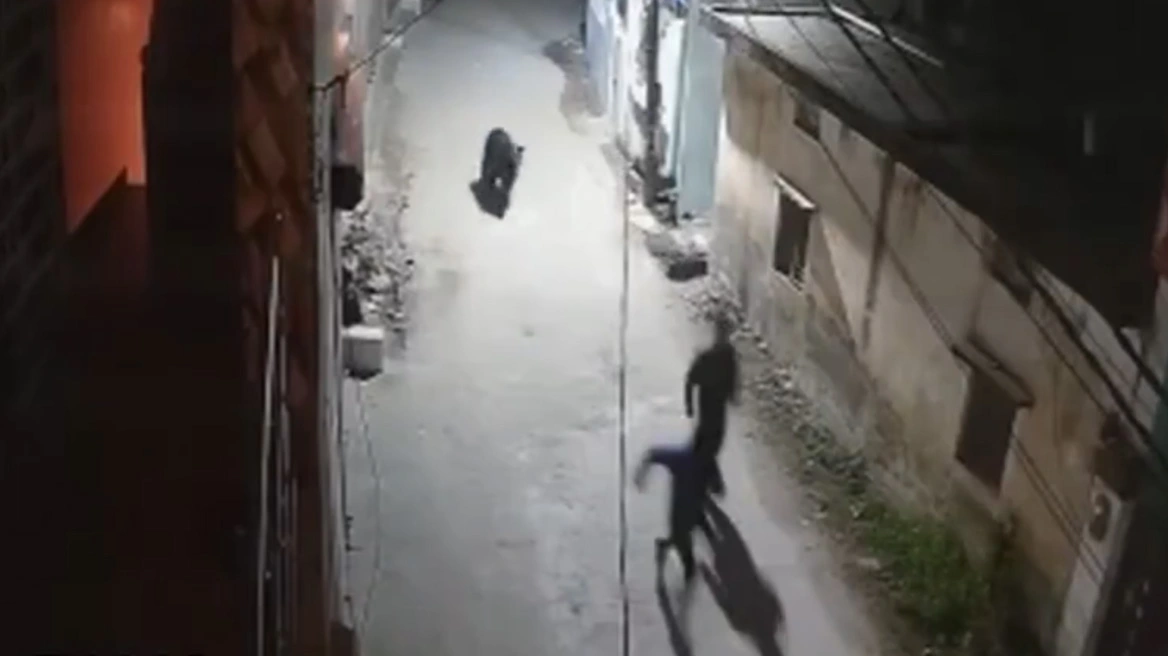 Άγρια αρκούδα παίρνει στο κυνήγι δύο άνδρες σε επαρχία της Ινδίας Άγρια αρκούδα παίρνει στο κυνήγι δύο άνδρες σε επαρχία της Ινδίας