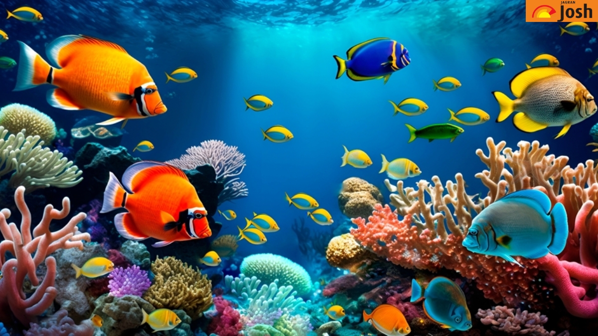 Οπτική ψευδαίσθηση: Μόνο όσοι έχουν τέλεια όραση μπορούν να εντοπίσουν τον αστερία