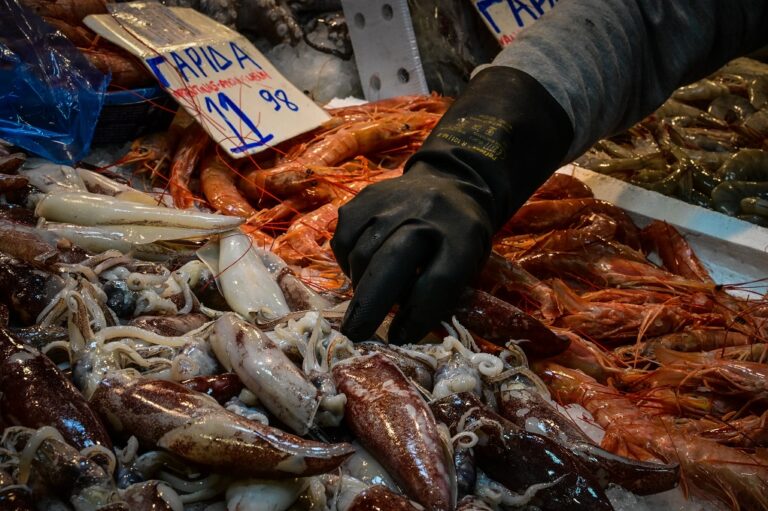 Θαλασσινά: «Καίνε» τον προϋπολογισμό ενόψει Σαρακοστής – Ανατιμήσεις έως 15%