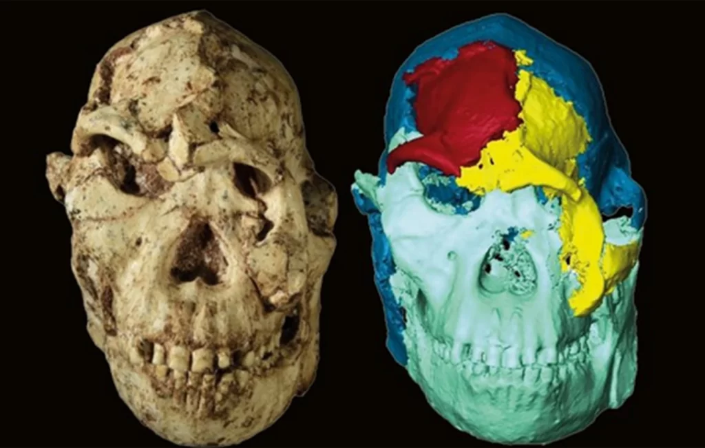 «Little Foot»: Δείτε το πρόσωπο του προγόνου μας μετά από 3,67 εκατομμύρια χρόνια