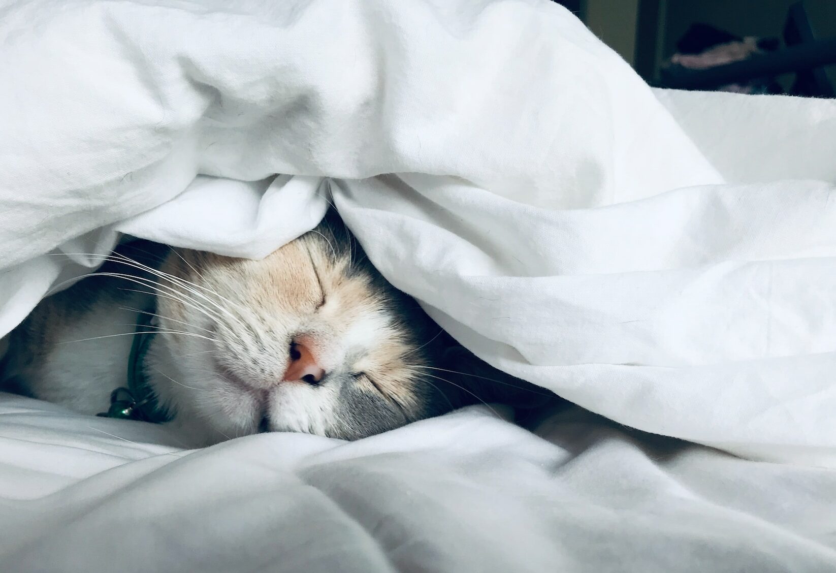 Τα ζώδια της Δευτέρας | ekriti.gr Τα ζώδια της Δευτέρας | ekriti.gr