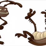 Κατσαρίδες και μυρμήγια στο σπίτι; Απαλλαγείτε με φυσικές μεθόδους