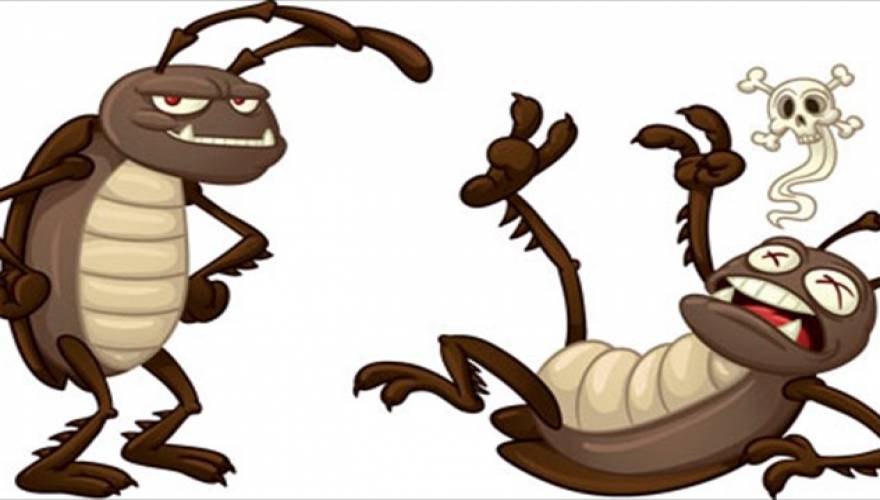 Κατσαρίδες και μυρμήγια στο σπίτι; Απαλλαγείτε με φυσικές μεθόδους