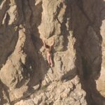 Σαν Φρανσίσκο: Πυροσβέστες διέσωσαν γυναίκα που είχε πέσει από γκρεμό (βίντεο)