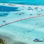 Θάλασσα των επτά χρωμάτων στο Σαν Αντρές: Ένα μοναδικό φυσικό φαινόμενο της Καραϊβικής (βίντεο)