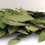 Δάφνη κάτω από το χαλί: Τι προσφέρει στο σπίτι σας