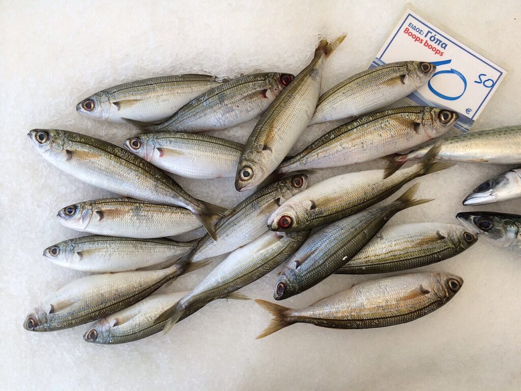 Αυτό το ψάρι βλέπει τα πάντα και ενισχύει καρδιά, εγκέφαλο και μύες