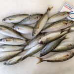 Αυτό το ψάρι βλέπει τα πάντα και ενισχύει καρδιά, εγκέφαλο και μύες