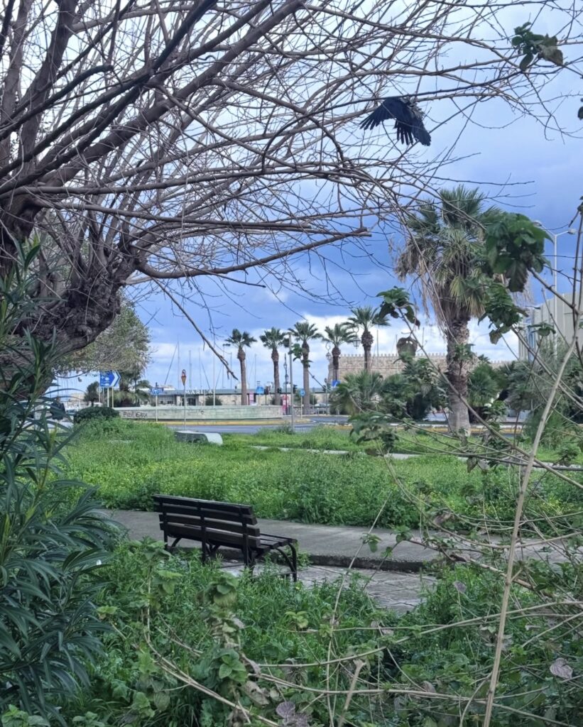 Ηράκλειο (φωτο) | ekriti.gr