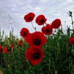 Τα ζώδια της Παρασκευής | ekriti.gr