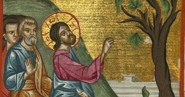 Μεγάλη Δευτέρα: Η παραβολή της «άκαρπης συκιάς» και ο Πάγκαλος Ιωσήφ