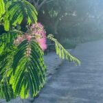 Γωνιές του Ηράκλειου (φωτο) | ekriti.gr