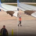 Μέλισσες «κατέλαβαν» το φτερό ενός αεροσκάφους (βιντεο)